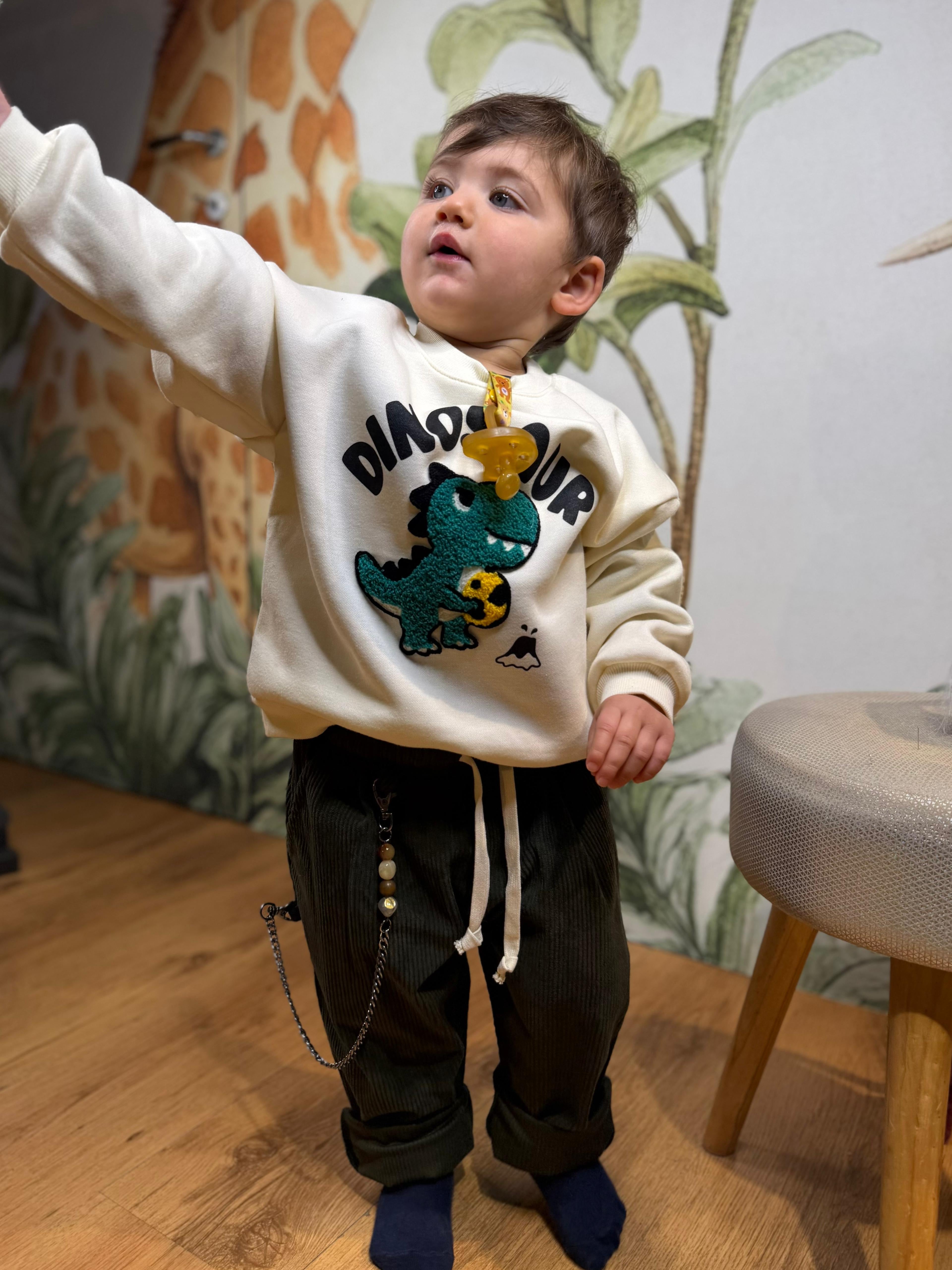 FELPA DINOSAURO 4546