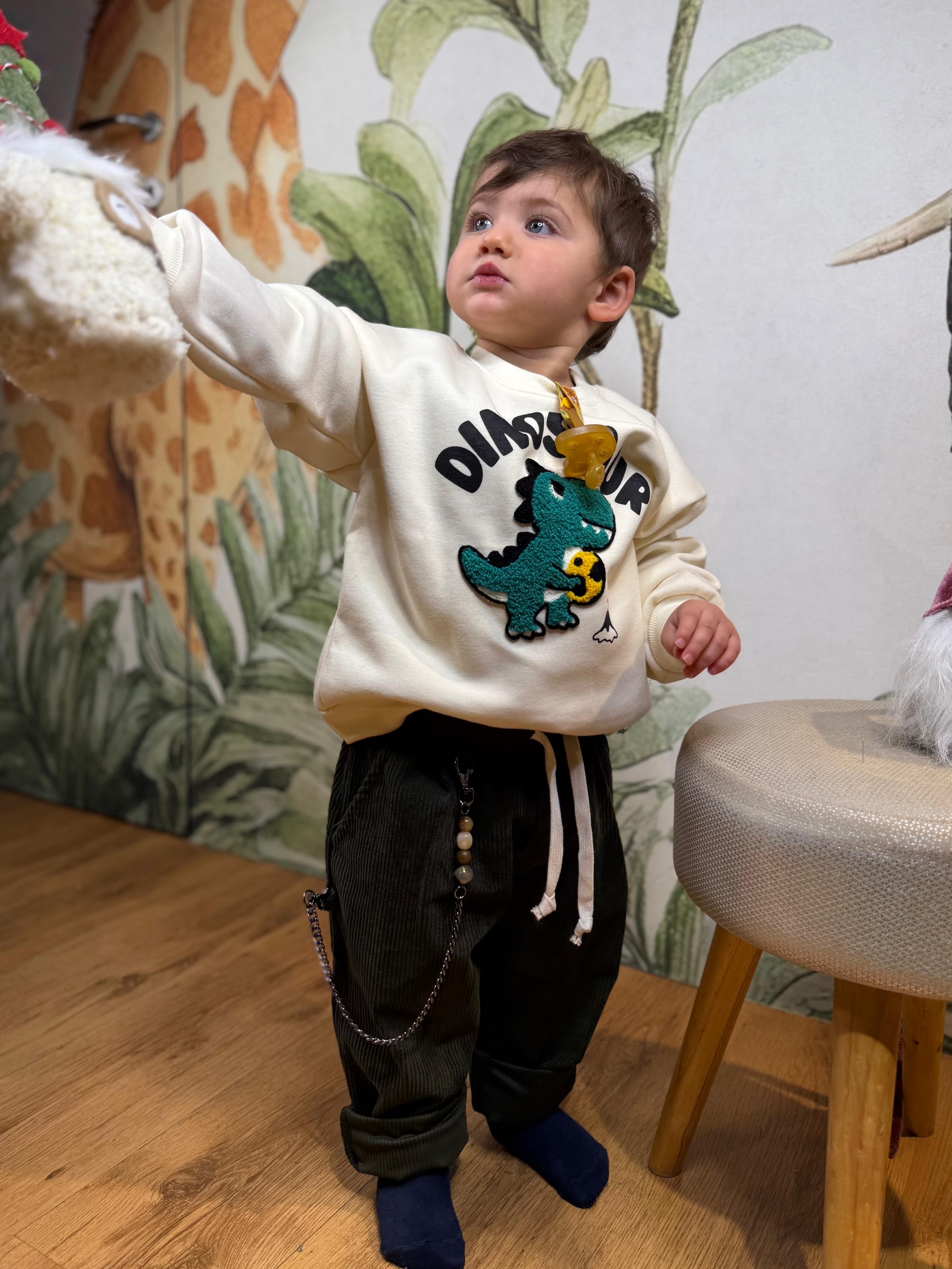 FELPA DINOSAURO 4546