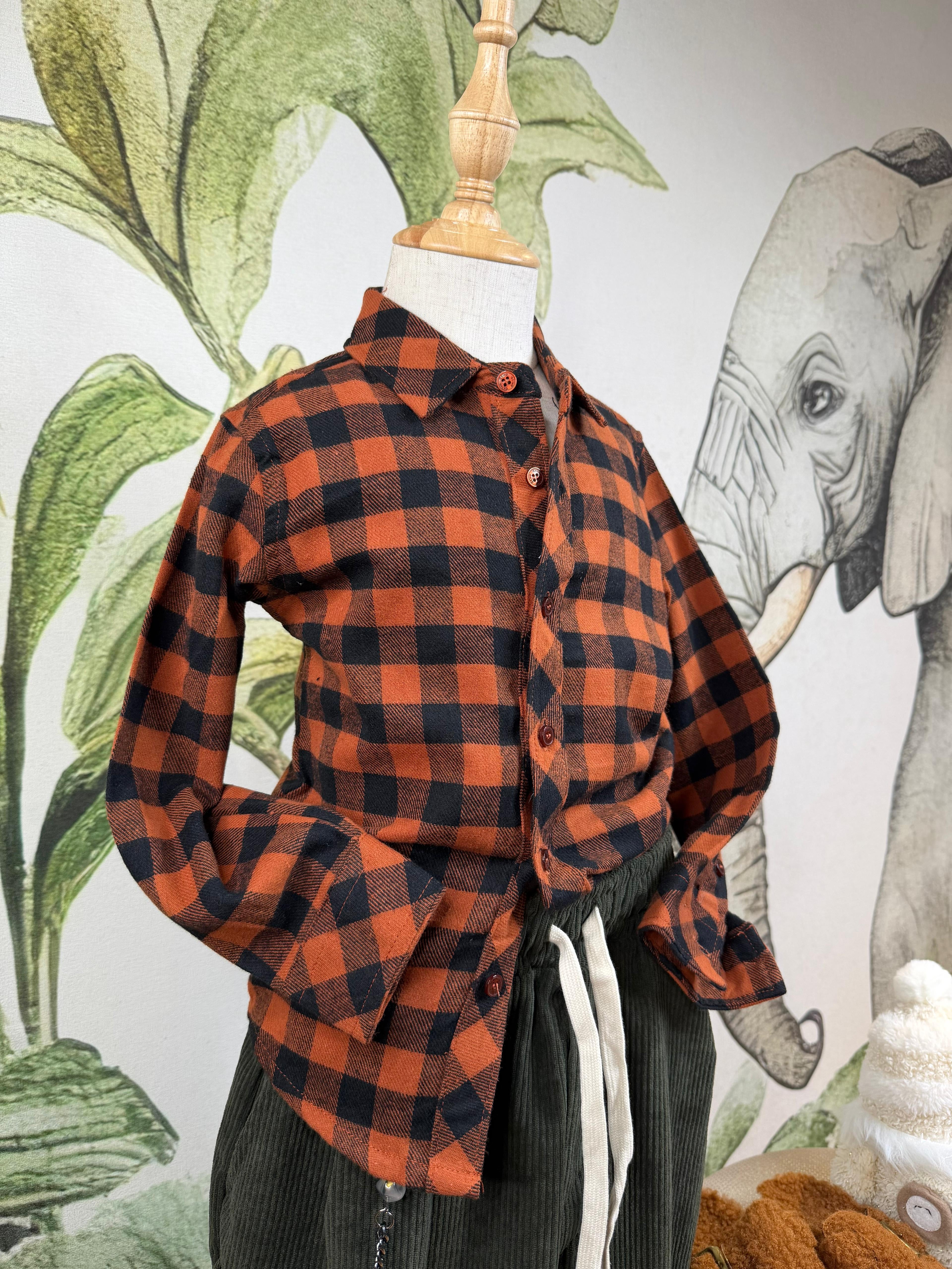 CAMICIA A QUADRETTI YF6204