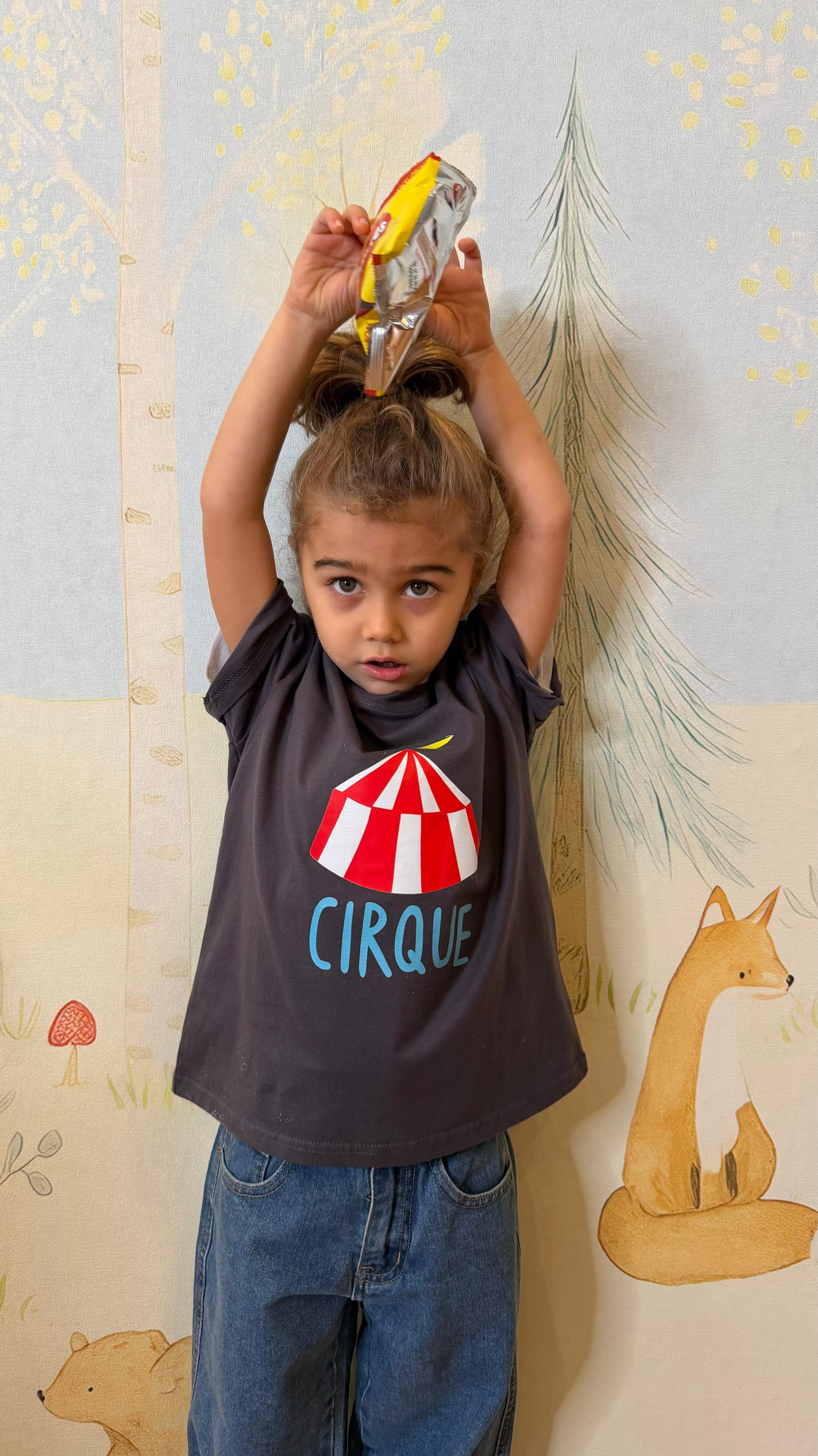T-SHIRT CIRCO GRIGIA 2-9 ANNI