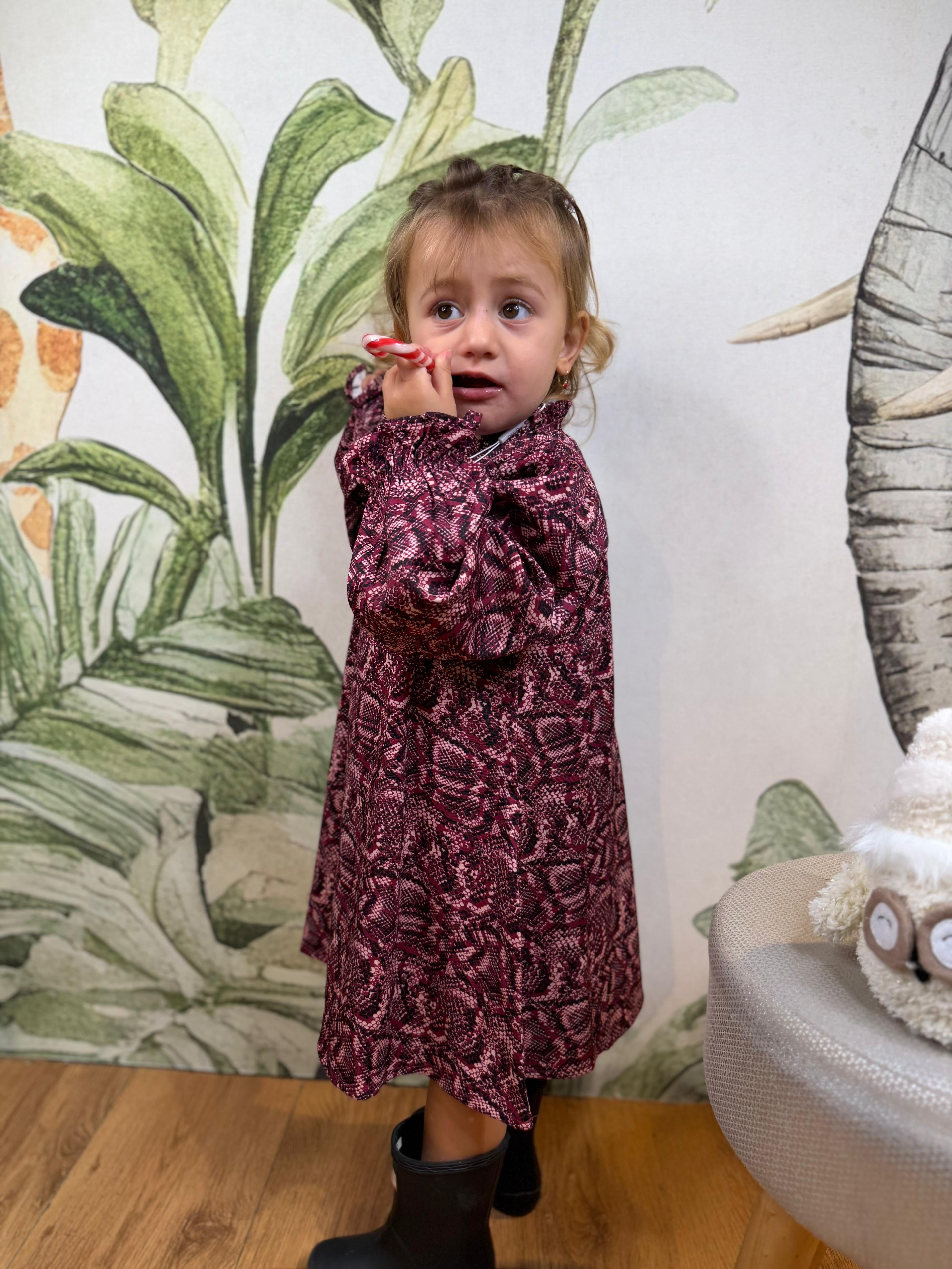 ABITINO VIOLA FANTASIA JH8163